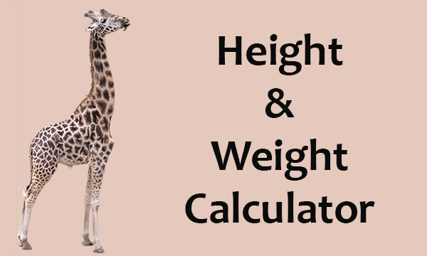 Calculator